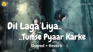 Dil Laga Liya - { Slowed   Reverb } Alka Yagnik - Udit Narayan | Dil Hai Tumhaara | darkLiFE