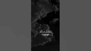 ما تيسر من سورة العنكبوت بصوت القارئ عبد الرحمن مسعد ♡