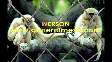 Generalmesh Animal Enclosure Cable Nets Zoo Mesh，Webnet Mesh, Zoo Enclosures mesh