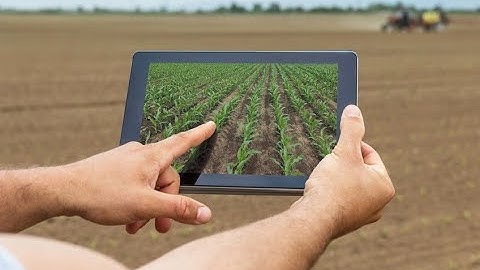 Crop yield Prediction  in India project| Machine learning| Python