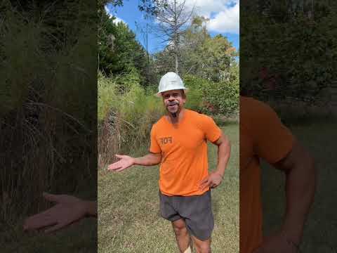 I love you #fypシ゚viral#bluecollar#viral#relatable
