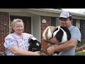 Milton couple owns pet skunks