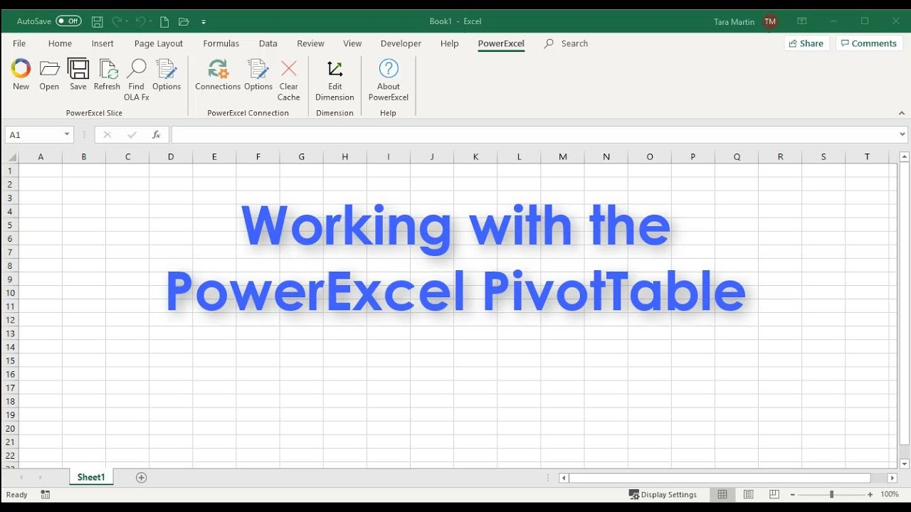 Working with the PowerExcel PivotTable