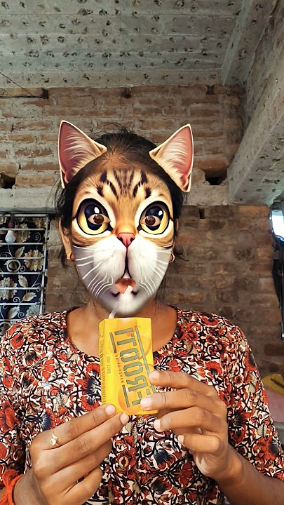 kucing pingin susu #fypシ😜🍼😍🍼😽😜 j5223