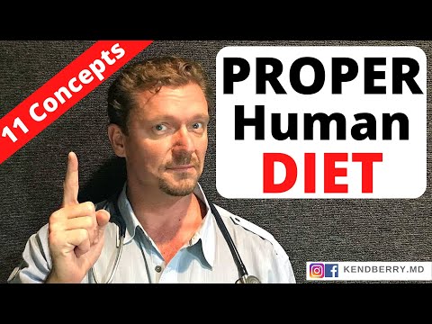 Video: What is a diet? Concept and rules