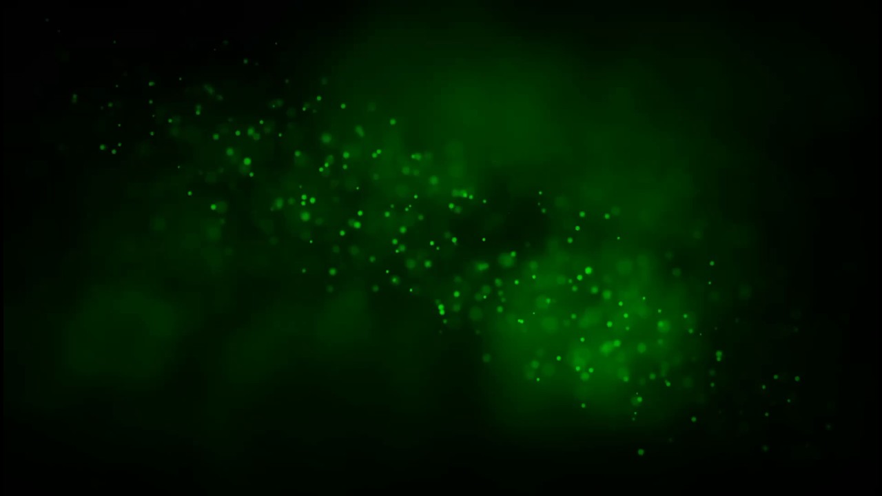 Green Noise 🟢 8 Hours Black Screen | Deep Sleep