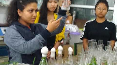 Tissue culture lab CSIR NEIST, JORHAT.