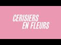 Damien Hirst - « Cerisiers en Fleurs » jusqu'au 2 janvier 2022