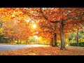 Beautiful Relaxing Music - Peaceful Soothing Instrumental Music, &quot;Forever Autumn&quot; by Healing Soul