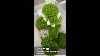 Live Moss vs. Dead Moss vs. ZERO Moss by TerraLiving