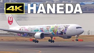 【新品未使用】JAL DREAM EXPRESS Disney100(B767) mqdefault.jpg