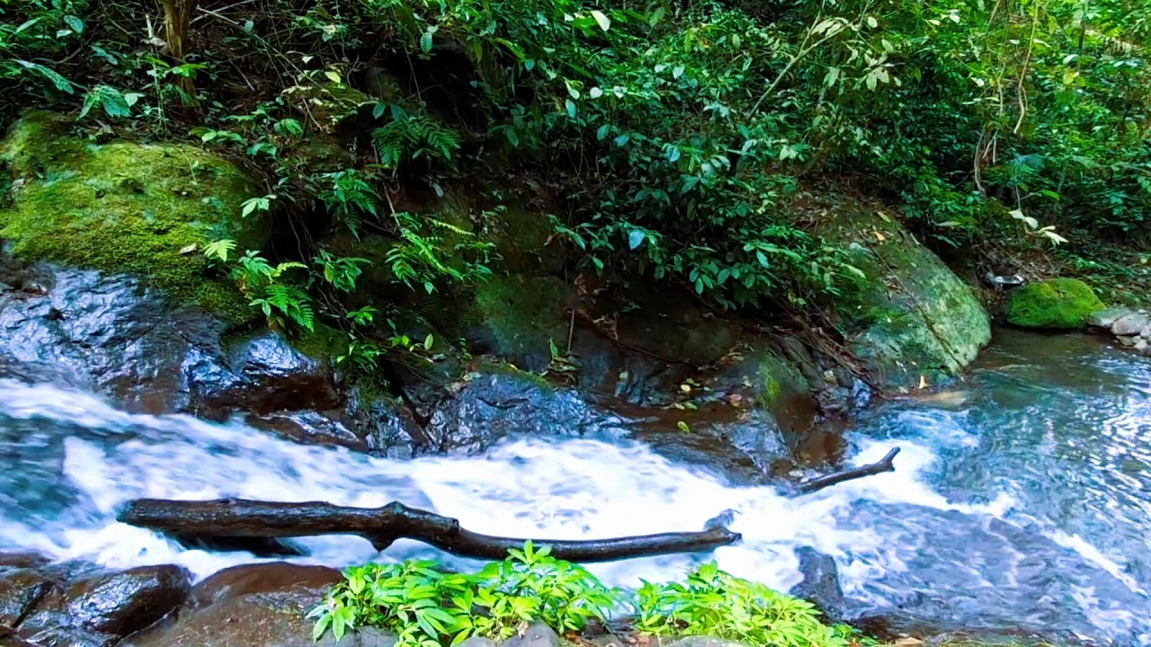 River Ambience for Evening Peace