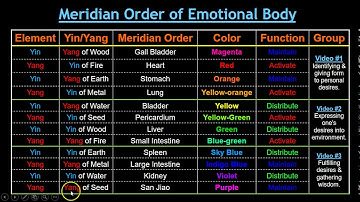 6-element acupuncture: Intro to Meridian Order of the Emotional Body