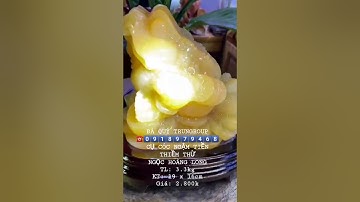 Ngọc Hoàng Long - Cụ Cóc ngậm tiền vàng (thiềm thừ) 3,3kg | Giá 2.800k | 0918979468