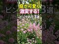 【庭が妖精の森になる】可愛すぎて言葉を失う「魅惑のピンク花」3選