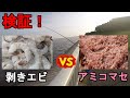 【東京都大田区】検証!スーパーで売っている生の剥きエビで魚は釣れるのか?初秋の9月中旬、都内南部の釣り場でアミコマセと生の剥きエビを同時に餌にして釣果の比較をしてみたら…!【2021.09.13】