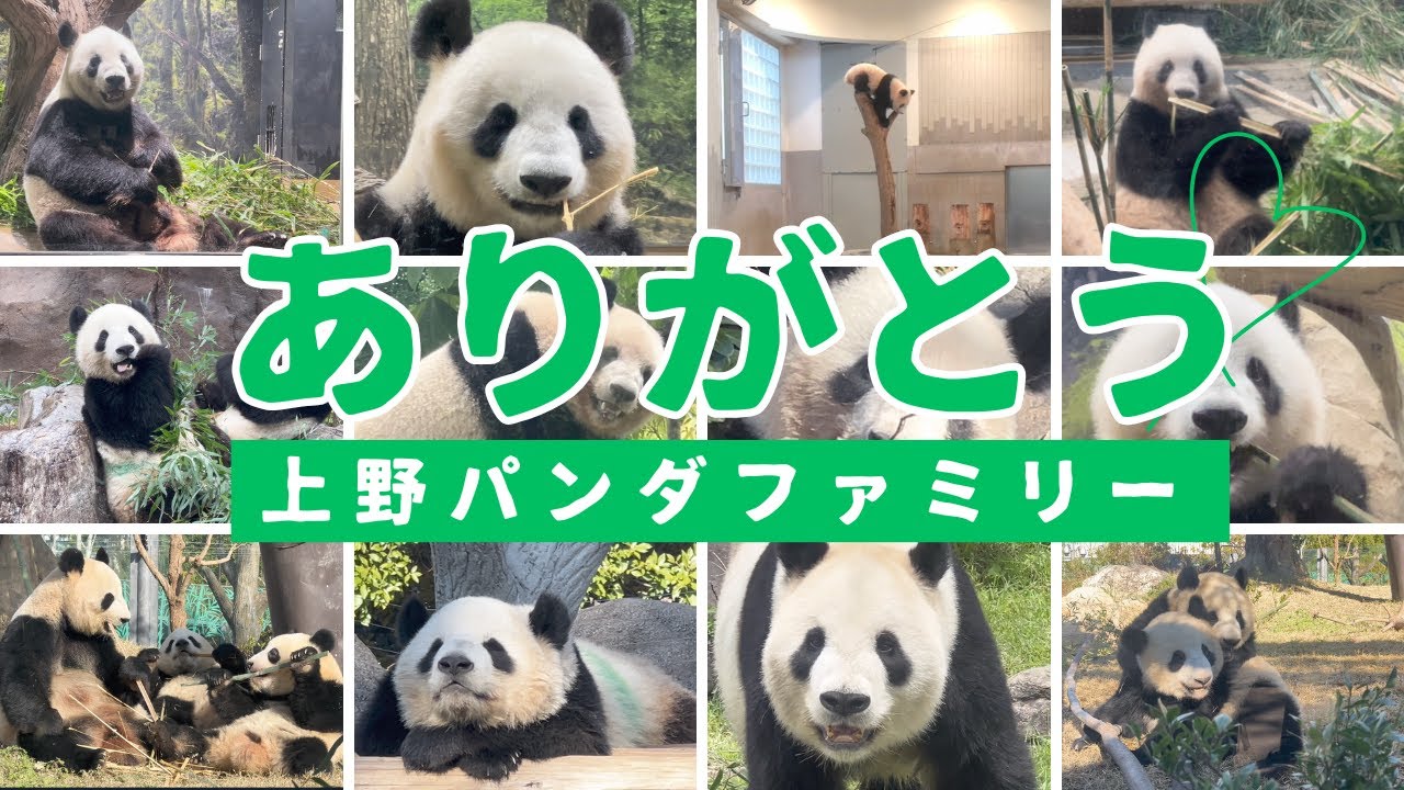 上野ファミリーの物語｜ありがとう動画