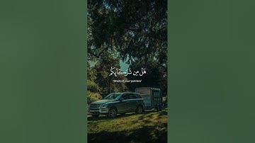اكتب شيء تؤجر عليه🌿🖤||ياسر الدوسري🎧😴 #تلاوة_خاشعة #القارئ_ياسر_الدوسري #اجر #quran #karim_quran_1
