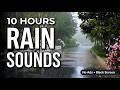 Gentle Rain on Garden Path | 10 Hours for Sleeping | No Ads | Black Screen