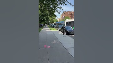 12 busses 🤦🏽 #mta #bus #shorts