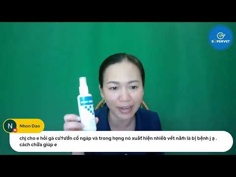 Video GÀ TRIỆU CHỨNG RƯỚN CỔ NGÁP, TRONG CỔ CÓ NHIỀU NẤM VÀ... - youtube