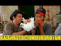 FIX KUALAT SAMA ALPRIH | PANJI HARUS CIUM P4NT4T AYAM