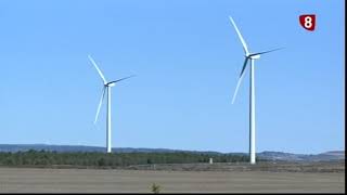 Nidáguila  07 11 17