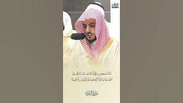 إِلَّا اللَّهَ. من أجمل التلاوات التي تسمعها. الشيخ الوليد الشمسان. تلاوة من سورة البقرة.