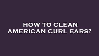 How to clean american curl ears?