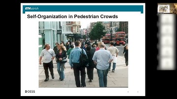 Pedestrian and Crowd Dynamics