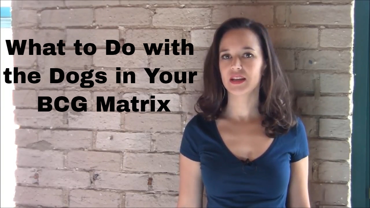 What to Do with the Dogs in Your BCG Matrix YouTube