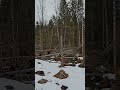 Laån 260328