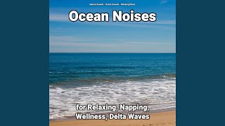 Waves Background Sounds for Dog Barking