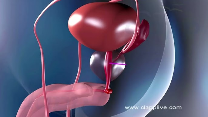 Jinsiy aloqa 3D ovoz