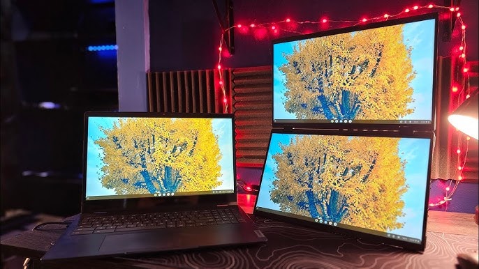 Check Out This WILD Portable Dual Monitor 