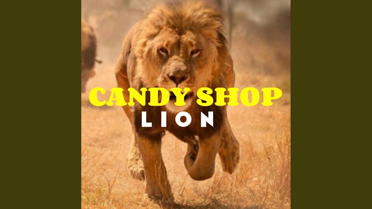 Watch Lion (Original Mix) on YouTube Watch Lion (Original Mix) on YouTube