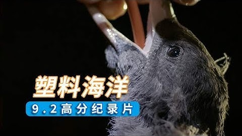 塑料怎样影响海洋生物的？一部既揪心又震撼的纪录片《塑料海洋》 - 天天要闻