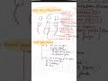 Cockroach Mouth Parts + Genital Pouch | 2 Topic 1 Video #shorts NEET CBSE and other boards