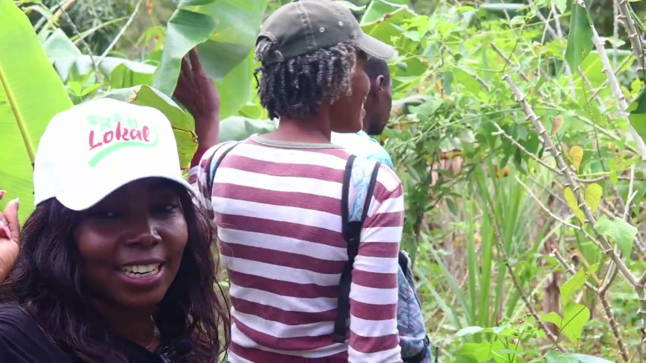 Yon Peyizan k'ap plante manyòk sou yon kawo tè nan Bonbon