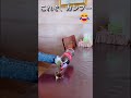 これこそ真のオーラの注ぎ方！