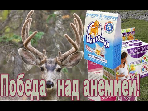 Победа над анемией | Пантогематоген с железом.