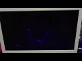 Hilcrhyme朱鷺メッセLIVEヒカキン登場