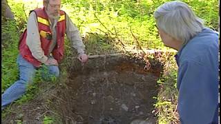 Soil Formation Processes in Podzols at the Lunate Creek Research Area
