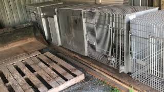 Pet cages for sale Stillwater Mn Facebook Marketplace