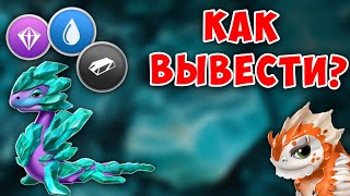 РАССПИСАНИЕ АКЦИИ ТИРАНОВ И КАК ВЫВЕСТИ ДРАКОНА АКВАМАРИН?