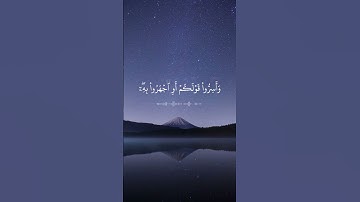 تلاوة خاشعة للقارئ الشيخ ماهر المعيقلي #تلاوة_خاشعة #ماهر_المعيقلي #تلاوات_نادرة #القرآن_الكريم