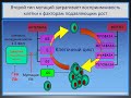 Патофизиология опухолей часть 1 (лектор И.Ю.Малышев)