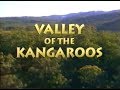 National Geographic: Valley of the Kangaroos (1992)