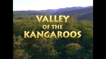 National Geographic: Valley of the Kangaroos (1992)