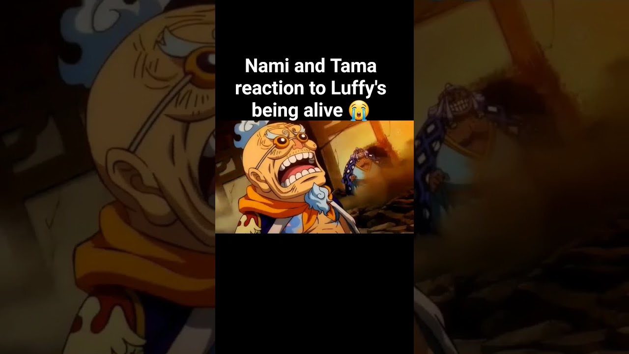 One Piece Fans React to Nami's Declaration About Luffy